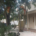 3651 Haines Road North, St. Petersburg, FL 33704