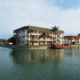 Don't Miss Our Next Auctions